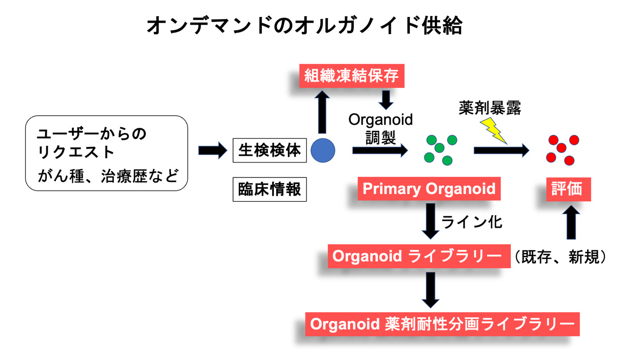 クリニカルバイオリソースの品質管理について