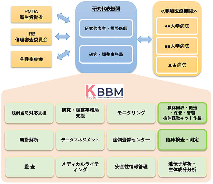 臨床研究/医師主導治験 実施体制図